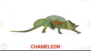 Развивающие карточки  для детей,/Часть 2