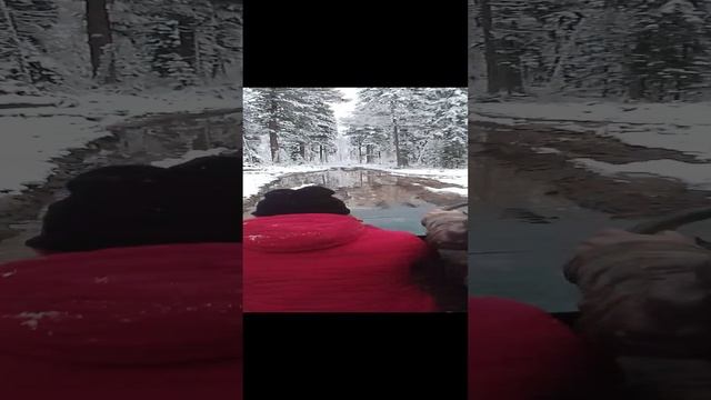 полная проходимость #лес #вездеход #грязь #четыреколеса #каракат #болотоход #shorts