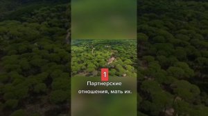 Вот такие партнерские отношения