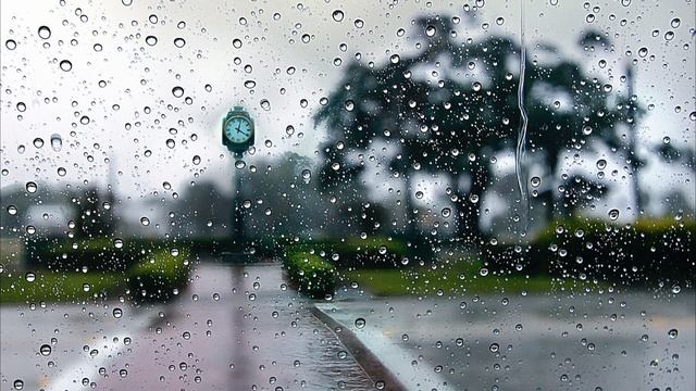 Шагая по лужам