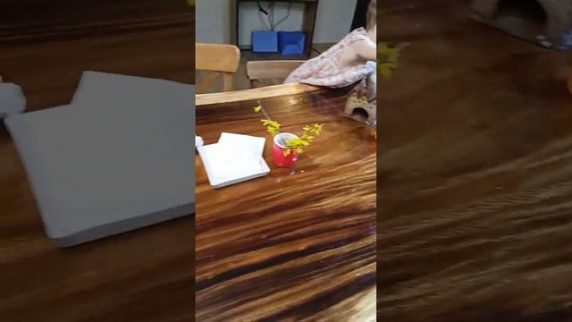 Стол из слэба Саман (дождевое дерево)  #wood #слэб #столрека