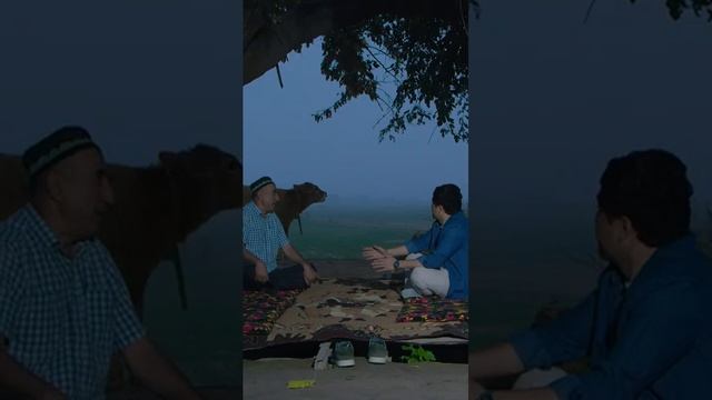 “Хусури ман” - суҳбати хусуру домодшаванда! смотреть онлайн