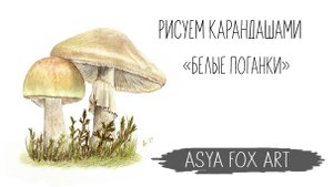 Рисуем карандашами Белые поганки 1 часть / ASYAFOXART