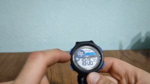 Skmei 1374