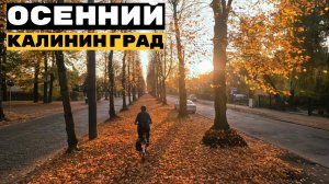 Осенний Калининград 2024 | Велопрогулка по городу