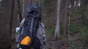 Отправились в жуткий поход, чтобы найти тропу лешего!