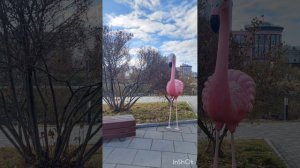 РыбаLove, ресторан, ул. Горького, 10А, Екатеринбург
 Прогулка-обед.