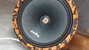 Обзор Акустики DL AUDIO BARRACUDA 165