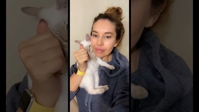 Чудесного дня #andrella #психология #андрелла #отношения #shortsfeed #любовь #cat #cats