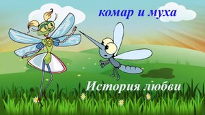 История любви.Комарик и муха.Владимир Новоженин