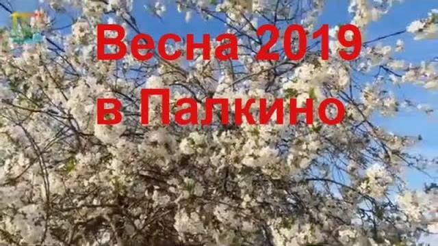 Весна 2019 в Палкино