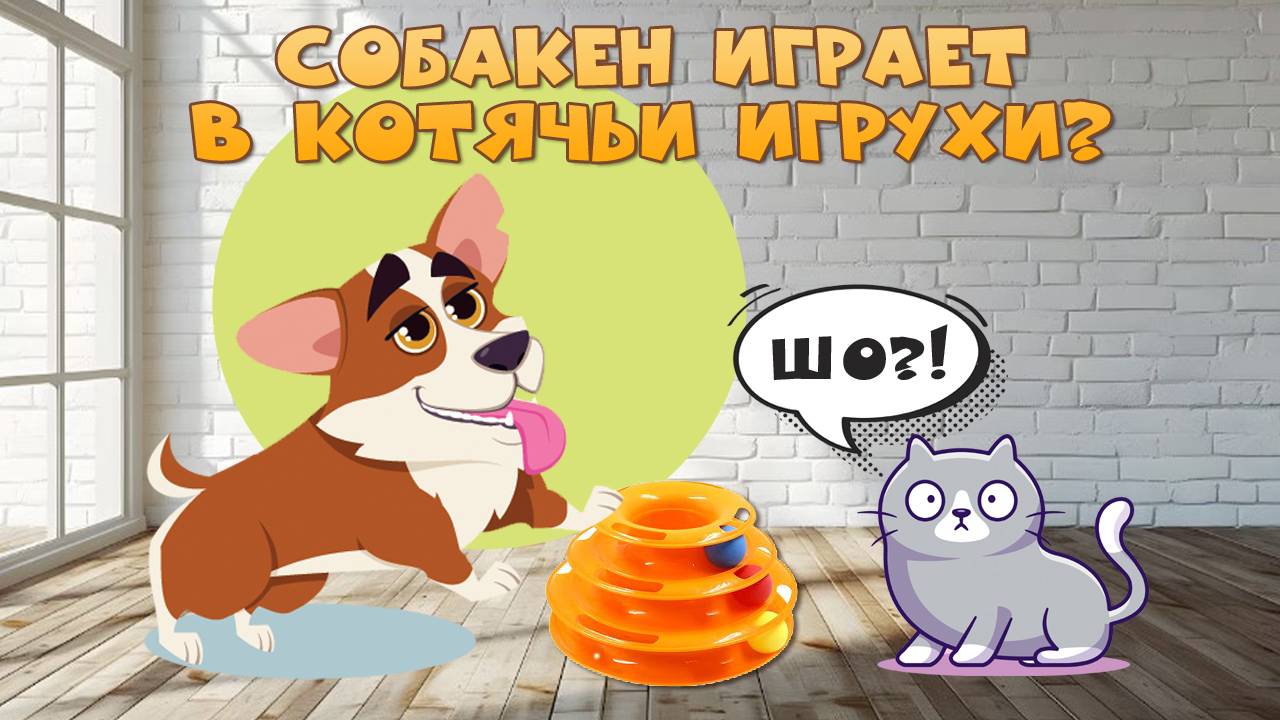 Собакен играет в котячьи игрухи🐶😺