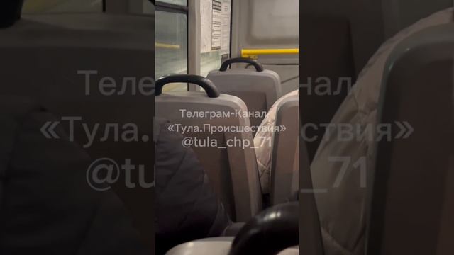 Драка водителей двух автобусов в Туле

Видео: «Тула.Происшествия»