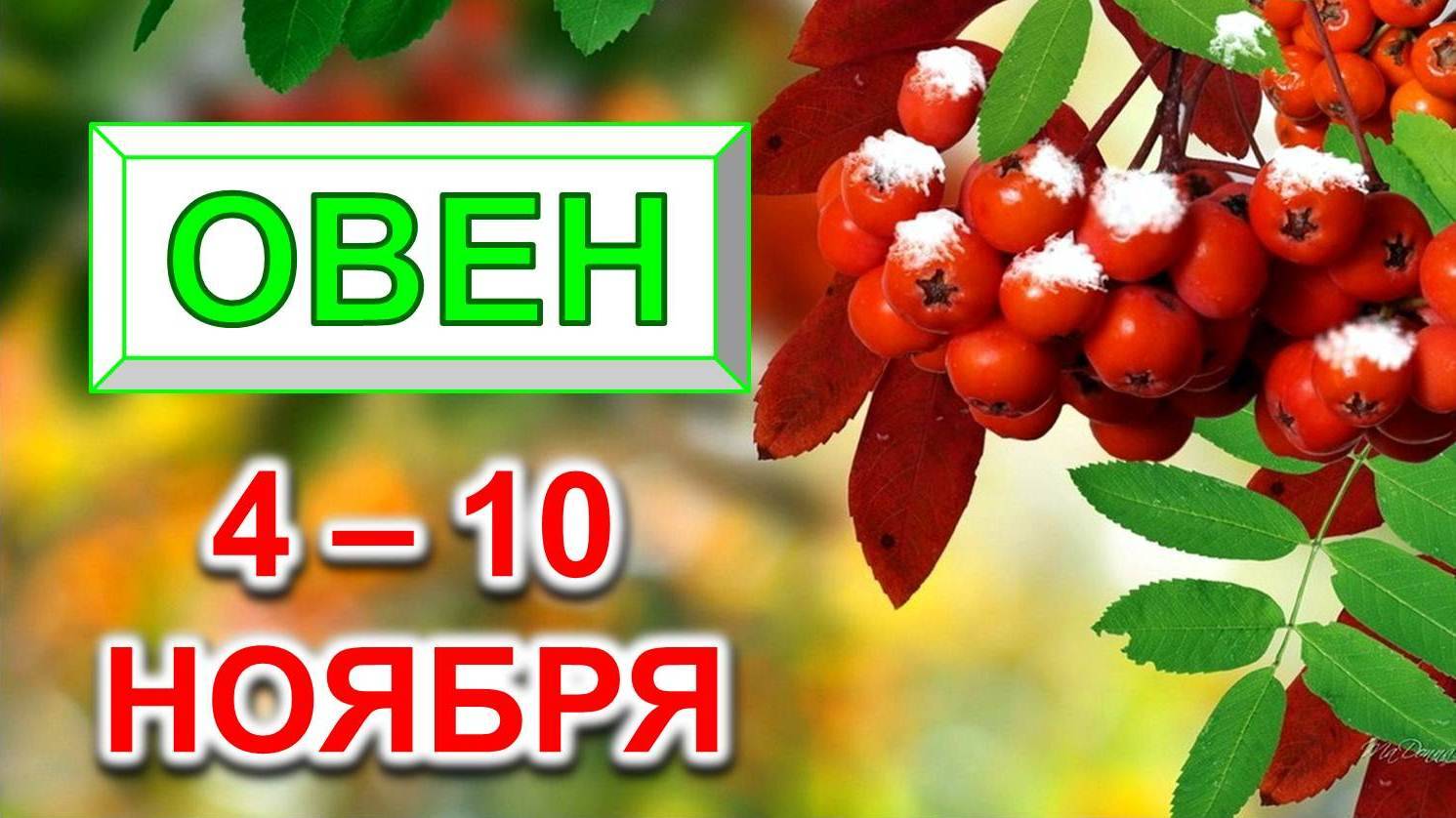 ♈ ОВЕН. 🍒 С 4 по 10 НОЯБРЯ 2024 г. 🎁