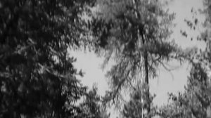 Лев Барашков - Главное, ребята, сердцем не стареть 1963 г