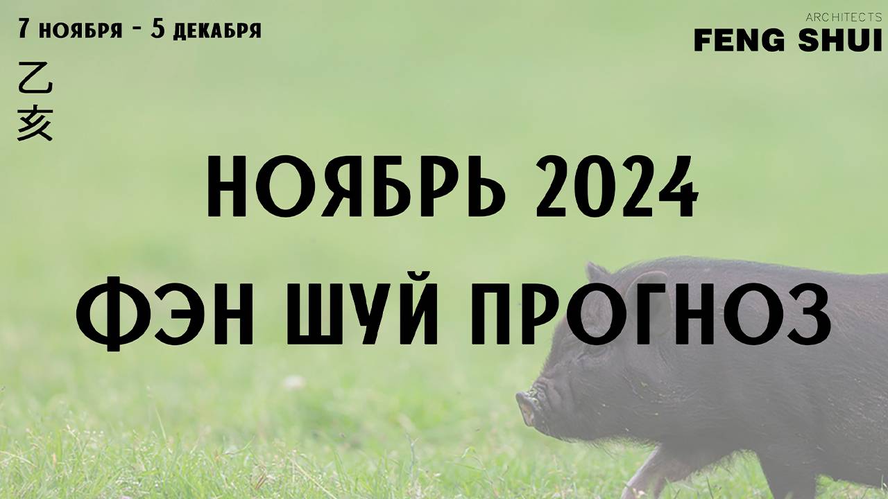 Прогноз на ноябрь 2024