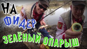 Зелёный опарышсупер на фидера.#рыбалка #фидер #рыбалканафидер #ловлянафидер #опарышь#зелёнка