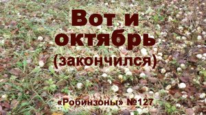 Октябрь закончился. Робинзоны №127