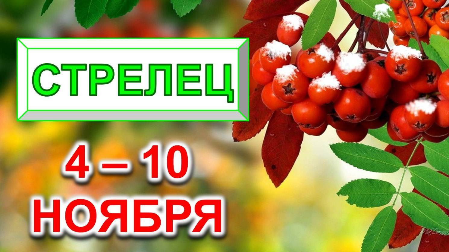 ♐ СТРЕЛЕЦ. 🍒 С 4 по 10 НОЯБРЯ 2024 г. 🎁