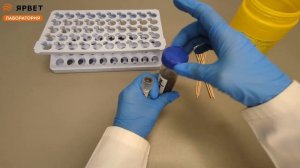 Доставка проб на ПЦР-анализ: Перенос материалов на ДНК-архив и в транспортную среду