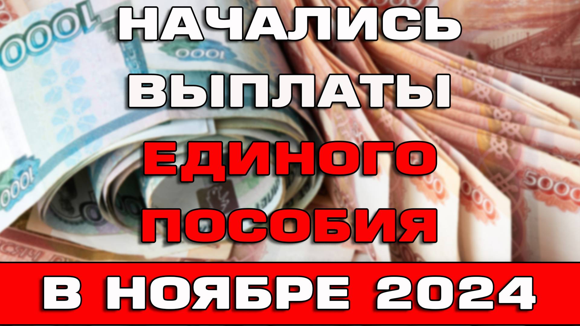 Начались выплаты Единого пособия в ноябре 2024 Ответы на вопросы