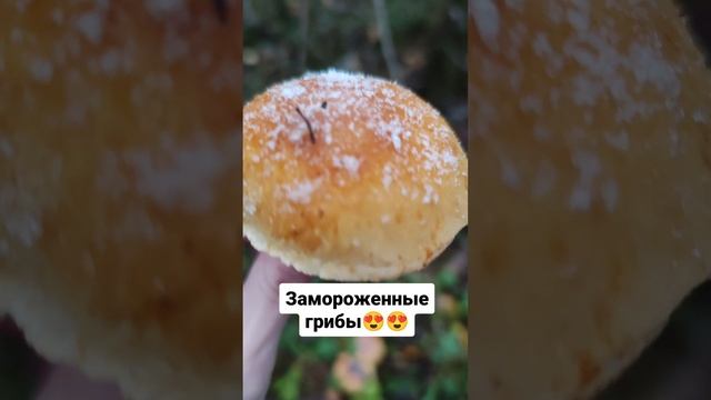 Замороженные грибы 😍