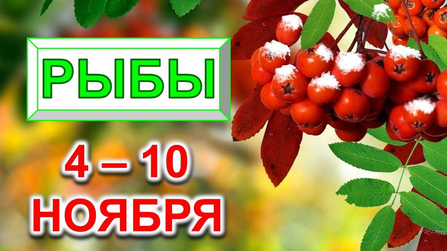 ♓ РЫБЫ. 🍒 С 4 по 10 НОЯБРЯ 2024 г. 🎁