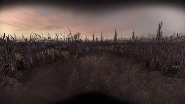 #2 Stalker Anomaly Build Dead Zone(Болота) смотреть онлайн