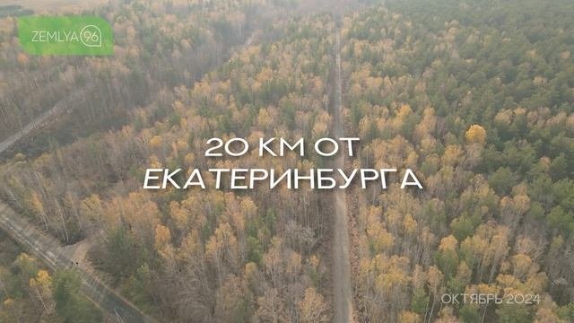 Аэродром октябрь 2024