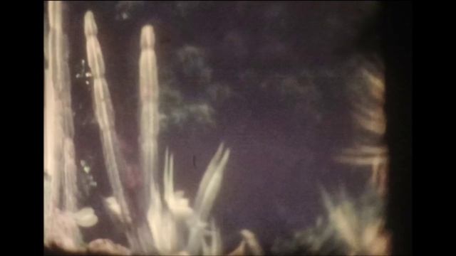 Алушта 1969 г.