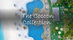 Вебинар с отелями The Cocoon Collection