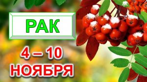 ♋ РАК. 🍒 С 4 по 10 НОЯБРЯ 2024 г. 🎁