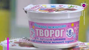 Мегаполис – «Белая корова» закрывается – Нижневартовск