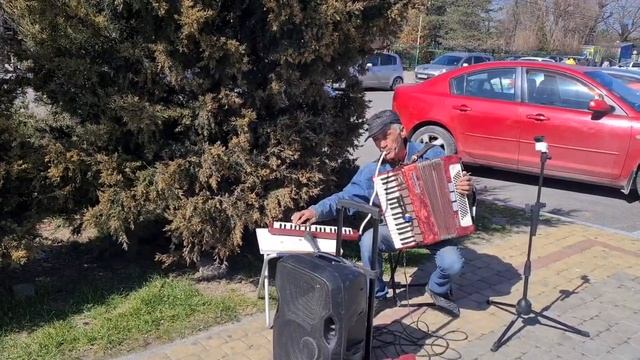 Неверояно красивая восточная мелодия Уличный музыкант г.Анапа