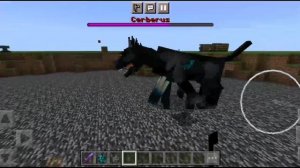 Варден против цербера