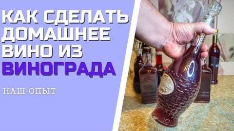 КАК СДЕЛАТЬ ДОМАШНЕЕ ВИНО ИЗ ВИНОГРАДА полный рецепт