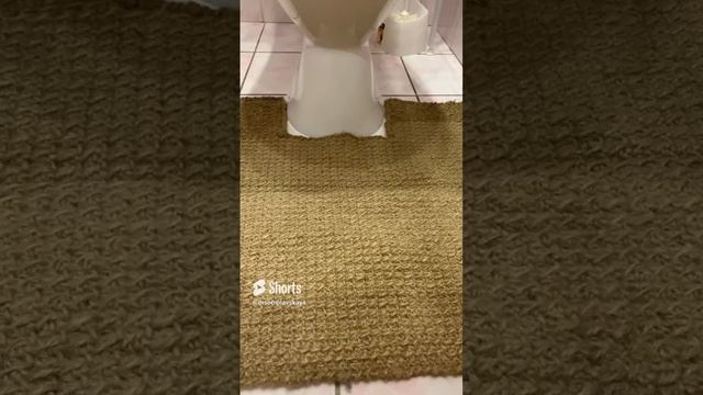 Коврик для туалетной комнаты.