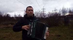 Ленинград "Мне бы в небо"на гармони