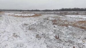 Первый снегопад первого ноября