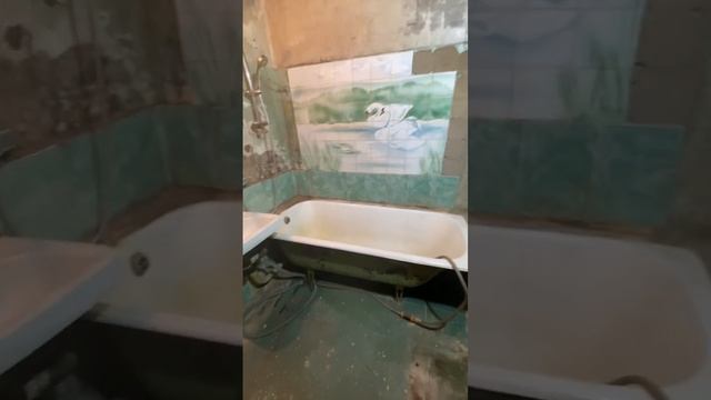Начало работ в раздельном санузеле #ремонтвванной #ремонтсанузла #санузелподключ