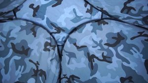 24 часа в палатке в лесу. На нас напал медведь!