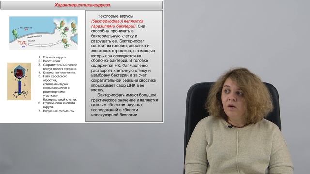 Вирусы