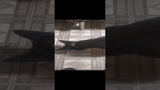 VID_20241102_182539.mp4 смотреть онлайн