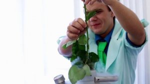 Эксперимент. Роза в жидком азоте