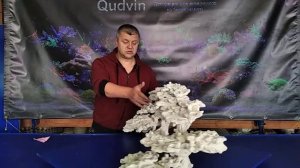 Комплект декораций КДС-50