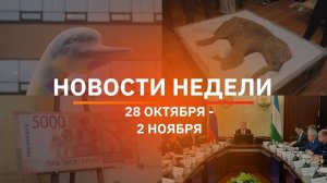 Итоги Новости Уфы и Башкирии | Главное за неделю с 28 октября по 2 ноября