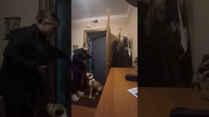 Щенок: выход из дома