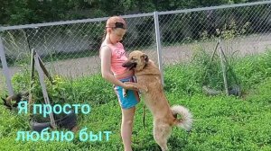 811 Забери меня домой