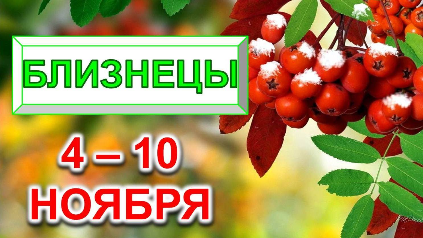 ♊ БЛИЗНЕЦЫ. 🍒 С 4 по 10 НОЯБРЯ 2024 г. 🎁