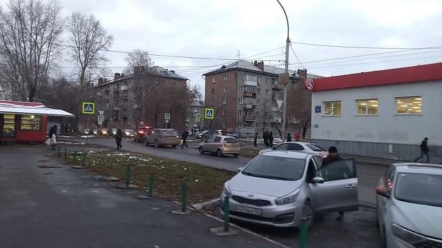 столетова4